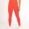 BRIDGE PERFORMANCE LEGGINGS