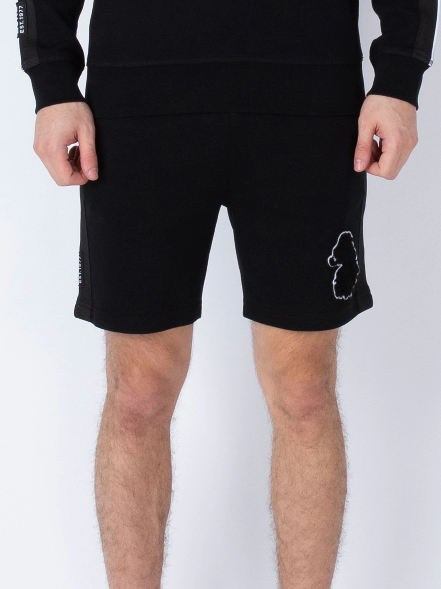 PELSALL VARSITY SWEAT SHORTS 2 PELSALL VARSITY SWEAT SHORTS - Image 2