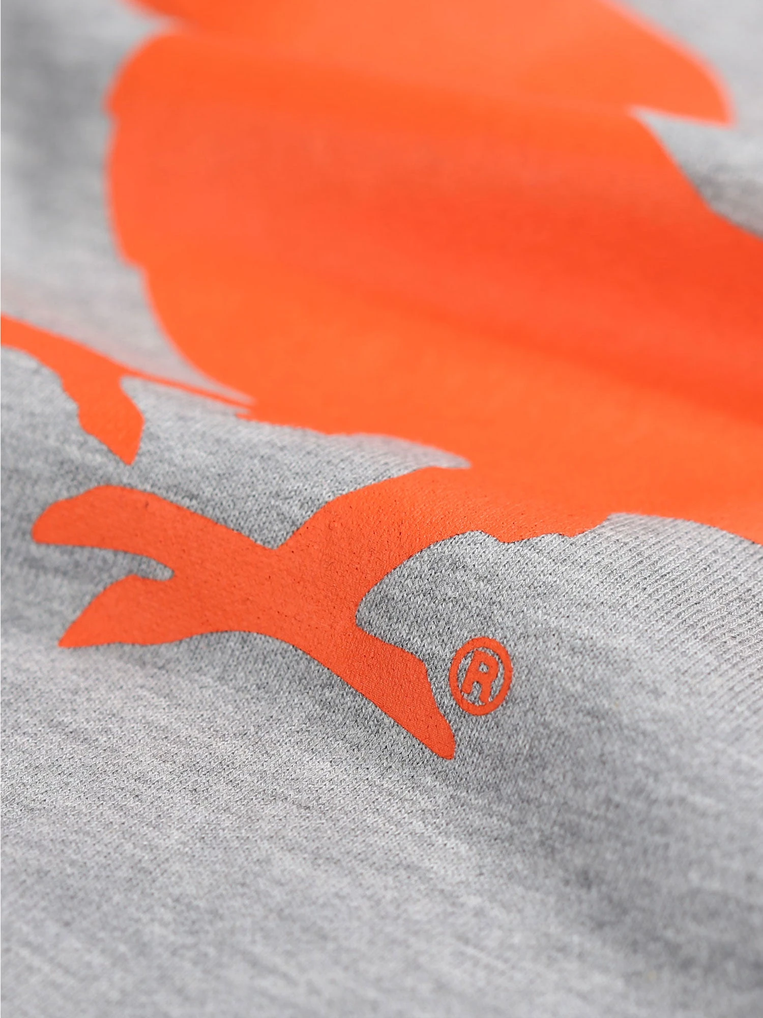 Modern Amusement HOLLYWOOD CROW SWEATSHIRT 7 Modern Amusement HOLLYWOOD CROW SWEATSHIRT - Image 7